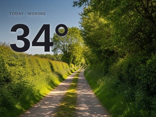 Woking: sunny day, high of 34°C