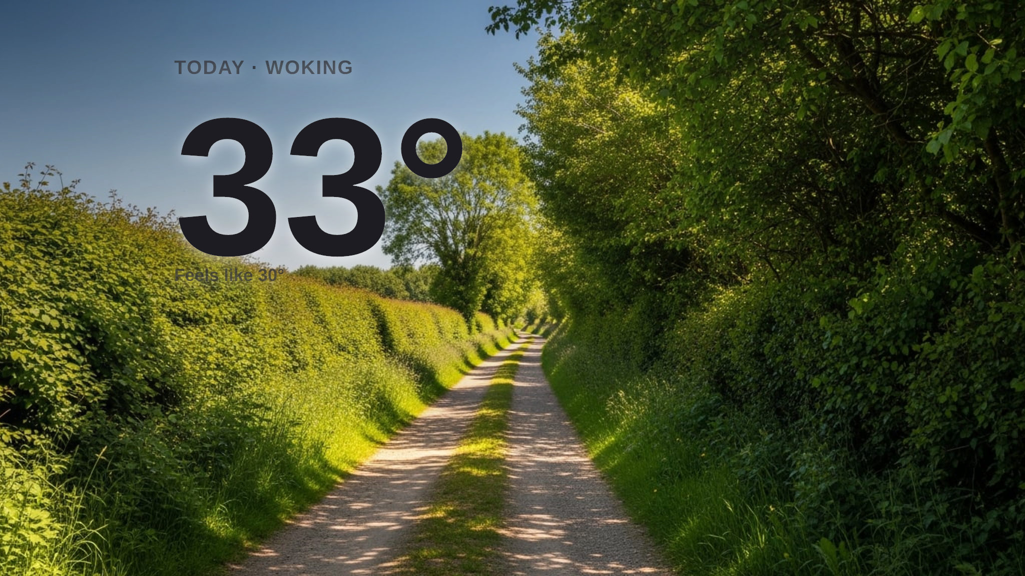 Woking: sunny day, high of 33°C