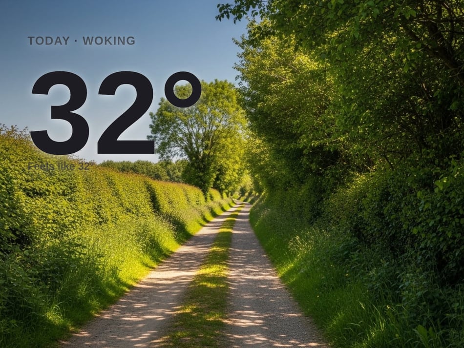 Woking: sunny day, high of 32°C